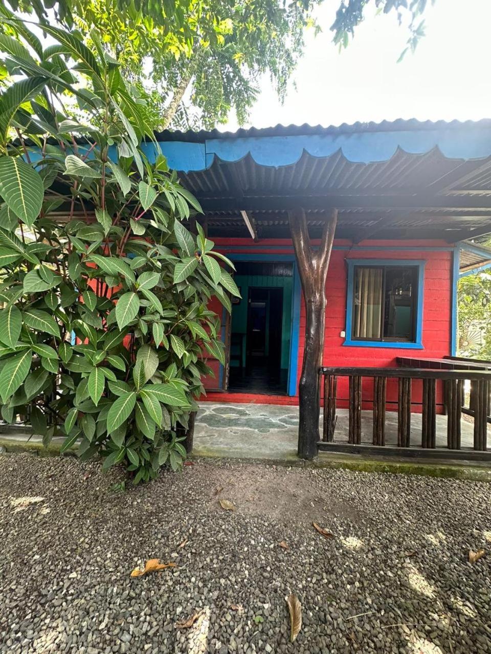 Playa Negra Brewing Beachfront Hotel Puerto Viejo de Talamanca 外观 照片
